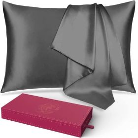 Lacette Silk Pillowcase 2 Pack for Hair and Skin, 100% Mulberry Silk, Double-Sided Silk Pillow Cases with Hidden Zipper (Deep Gray, standard Size: 20"