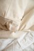 Omne Sleep 4-Piece Cream Brushed Microfiber Queen Hypoallergenic Sheet Set