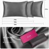 Lacette Silk Pillowcase 2 Pack for Hair and Skin, 100% Mulberry Silk, Double-Sided Silk Pillow Cases with Hidden Zipper (Deep Gray, Queen Size: 20" x